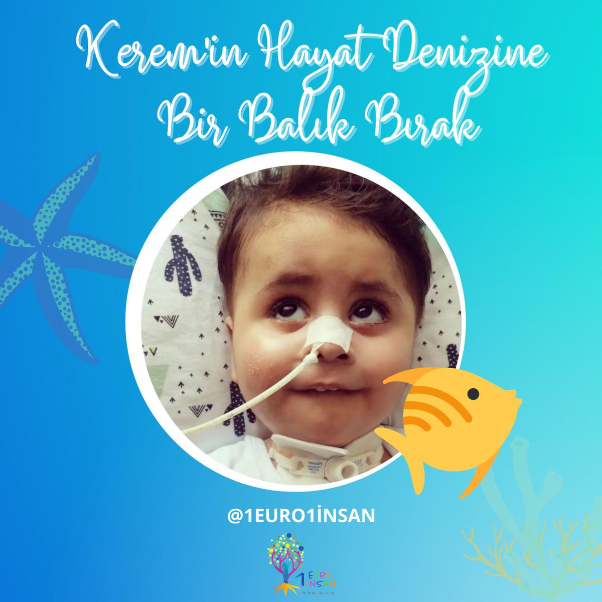 TÜM SMA HASTASI BEBEKLERİMİZİN YANINDAYIZ

SMA hastalığı ile mücadele etmek için çıkmış olduğumuz bu yolda, tüm bebeklerimize dokunabilmek en büyük hedefimiz.
Henüz bir kampanyaya dahil olmadan önce, kampanyası devam eden bebeklerimizi paylaşarak seslerine ses olmak istedik.