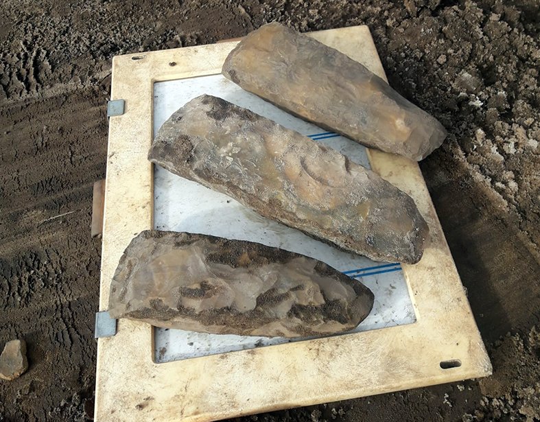 DeArcheoloog's tweet photo. #Archeologen hebben bij #opgravingen in het Overijsselse #Collendoorn (bij #Hardenberg) drie grote vuurstenen #bijlen gevonden. Deze komen uit de #Trechterbekerperiode (3400-2750 v. Chr.).
https://t.co/LP6MtraLSx https://t.co/1cmaO8nTa1
