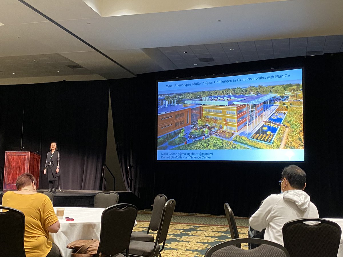 Shawn Thomas tweet media