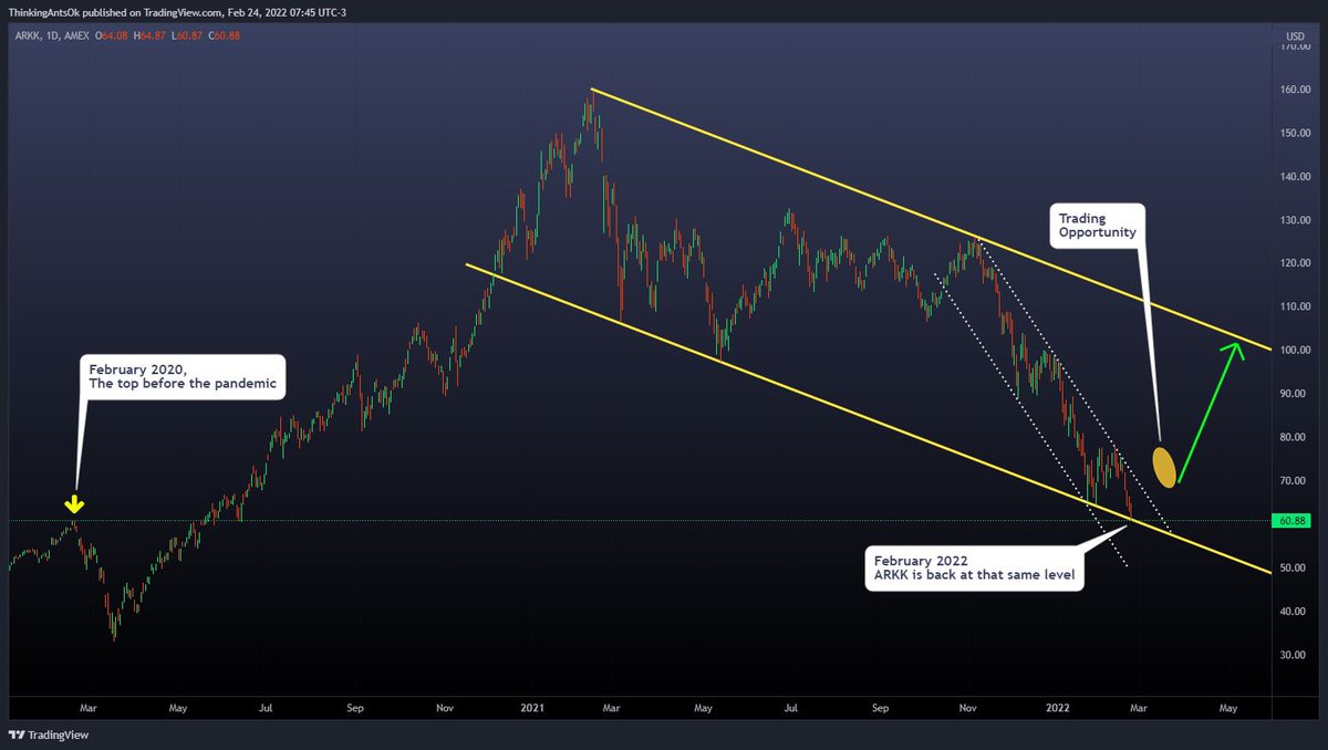 ThinkingAnts tweet media