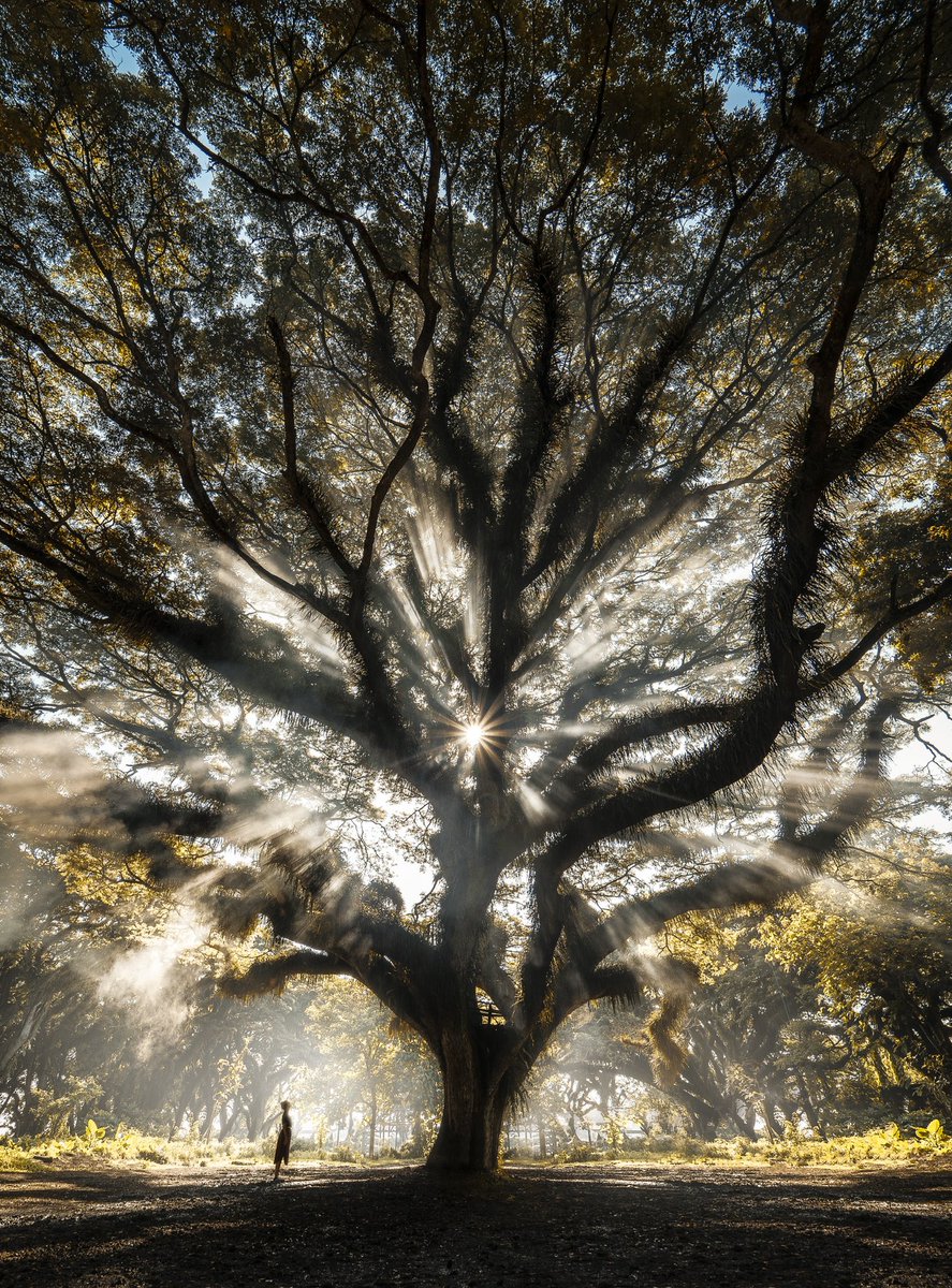 No GM or GN today… once again humanity shows that it’s all about money, about power! While some of us try to be a good person for the planet, others only care about themselves! My prayers go out to the people of Ukraine! 🙏 may the piece restore any soon!