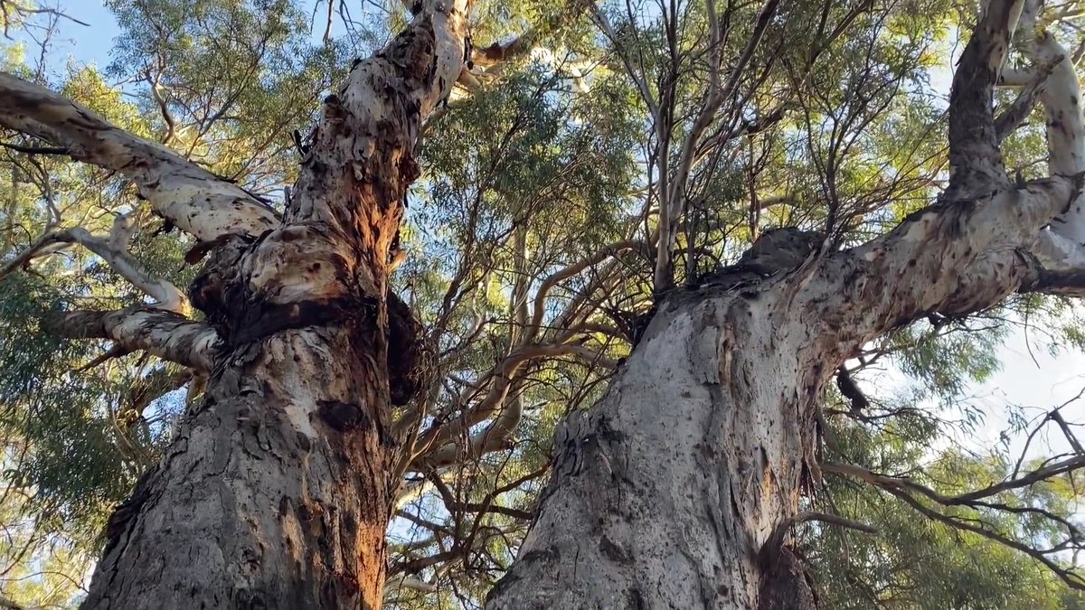 Moumin Lovable (@lovablemoumin) on Twitter photo 