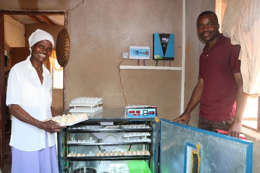 CAREZimbabwe's tweet photo. 22,192 individuals have been supported &amp; capacitated in boschveld chicken production under the @ZRBFZIM #ECRIMS project. Capacitation in hatcheries management has improved farmers access to day-old chicks so they no longer travel from Zvishavane to Harare for improved varieties. https://t.co/x9vJFhUOdZ