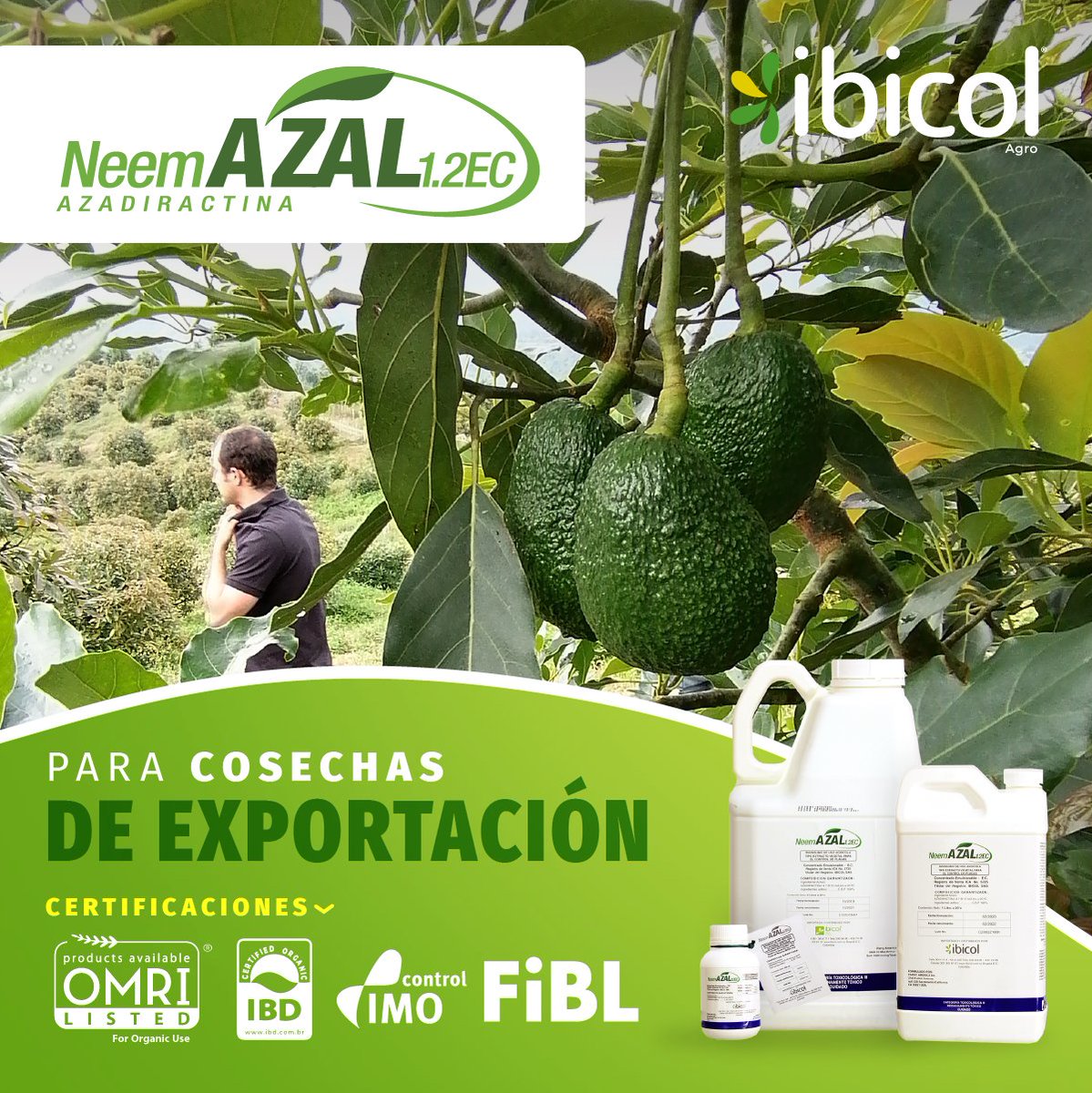 insumosibicol's tweet photo. Neemazal cuenta con las certificaciones necesarias para que sus frutos salgan del país.
#Ibicol #Croper #Colombia #Insumos #Maquinaria #Herramientas #Agro #Pecuario #Agua #suelo https://t.co/zeYXvrxjQT