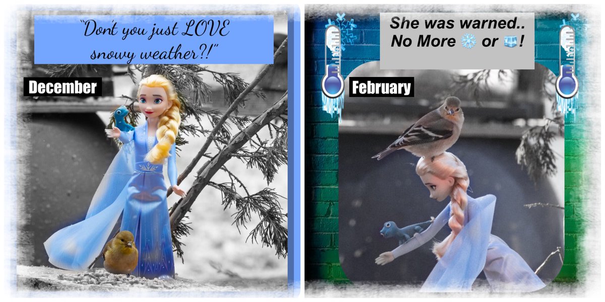 To:Mother Nature
Signed: Everyone in NW MO 
#bringBackSpringWeather!
#BingsWhimiscalWings

<a href="/mikebracciano/">Mike Bracciano</a>