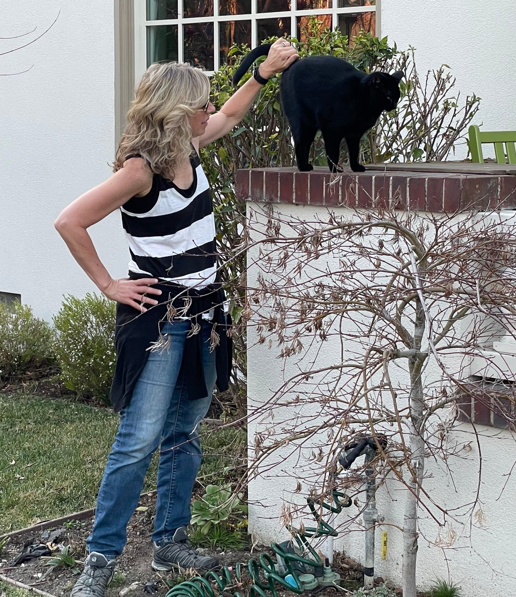 JoyfulVegan's tweet photo. Obsessed with this little girl.
Olive. โค๏ธ
#cats #blackcats #hoodcats #oakland #oaklandcats #joysofwalking #neighborhoodcats https://t.co/tXKteHLY6V