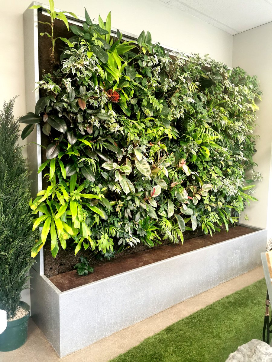 GroupNedlaw's tweet photo. Did you know that our biofilters consume odours too? These hardworking biofilters in #Cambridge ON and #London ON reduce #chlorine and #pet smells! 

Clean air, naturally 🌱 ⠀ ⠀ ⠀ ⠀ ⠀ ⠀
⠀ ⠀ ⠀ ⠀ ⠀ ⠀
#biofilter #nedlaw #greenwall #hydroponics #greendesign  #biowall https://t.co/tZO7qXhK4H