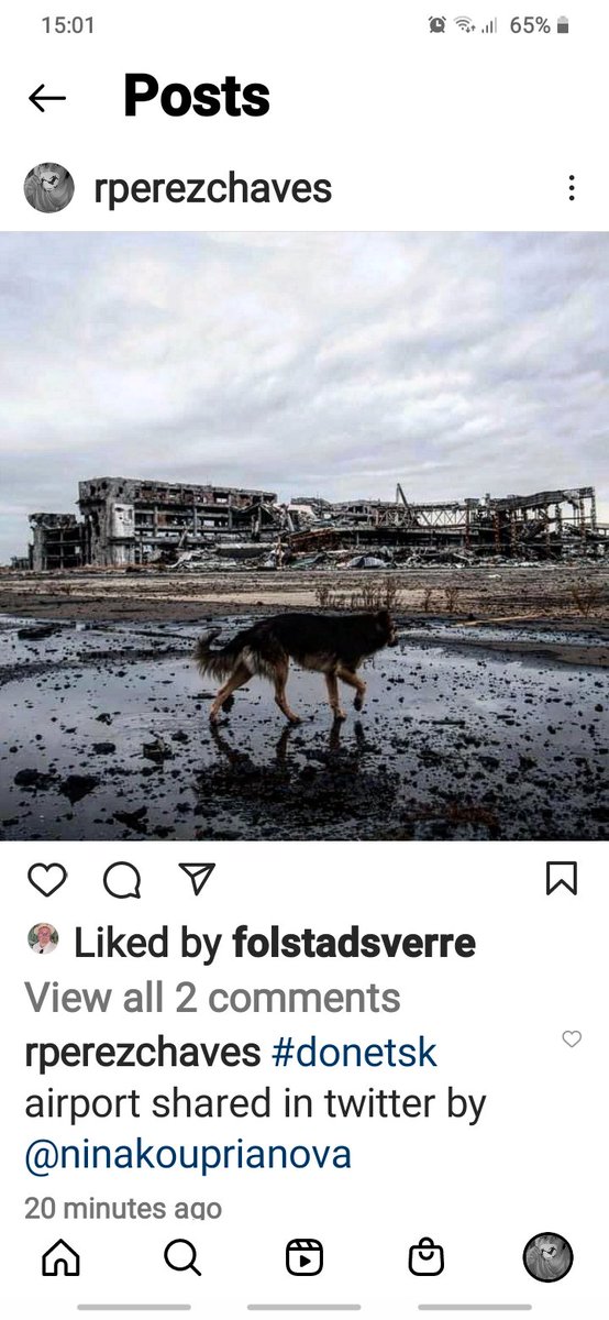 RPerezChaves's tweet photo. @NinaByzantina thank u so much @NinaByzantina i also have shared it via instagram  on my #lostintarkovsky moodboard...i love it https://t.co/PBCk1VSWvL