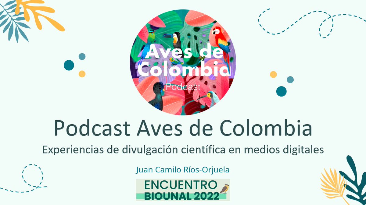 birdsandherps's tweet photo. Hoy hablaré de mi experiencia en el podcast @avesdecolombiap en el BIOUNAL2022. Será transmitido en vivo en el canal de YouTube de la @FCienciasUNALco. Los espero! https://t.co/OUB73N3vLf