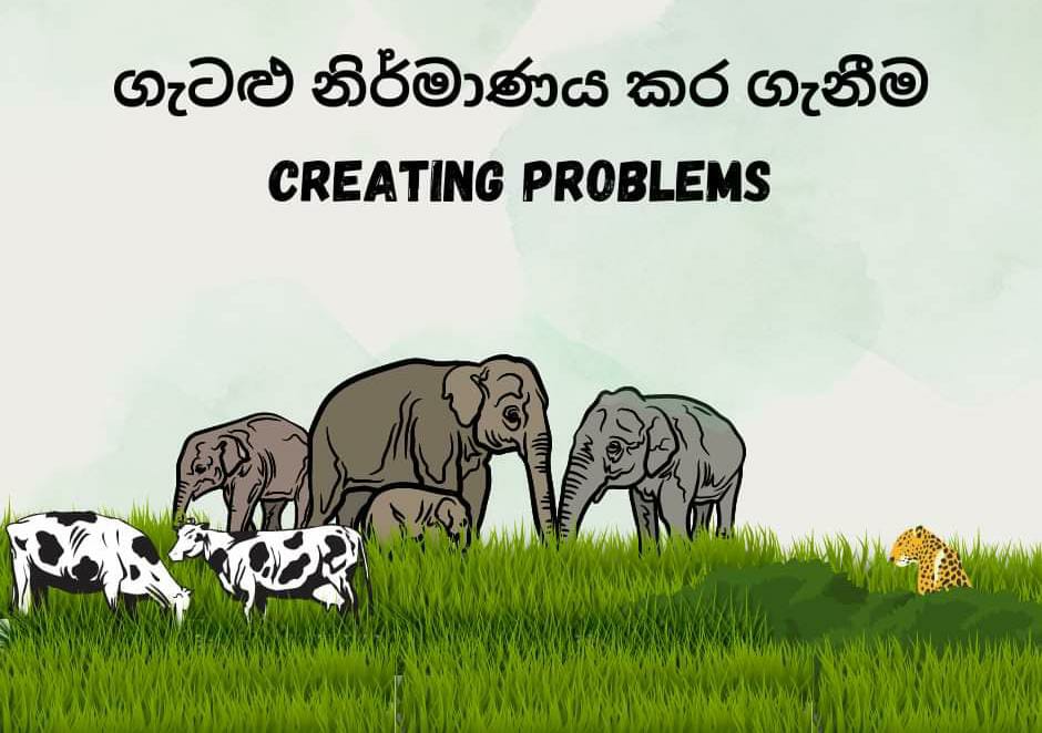 RARE_SriLanka's tweet photo. Cattle in parliament of Sri Lanka set to amend Fauna & Flora Protection Ordinance to allow domesticated cattle to graze in Protected Wildlife Areas worsening HEC starving thousands of 🐘🐘
SL already kills atleast 1 elephant a day. @GotabayaR @sajithpremadasa @anuradisanayake https://t.co/GXgSScESCz