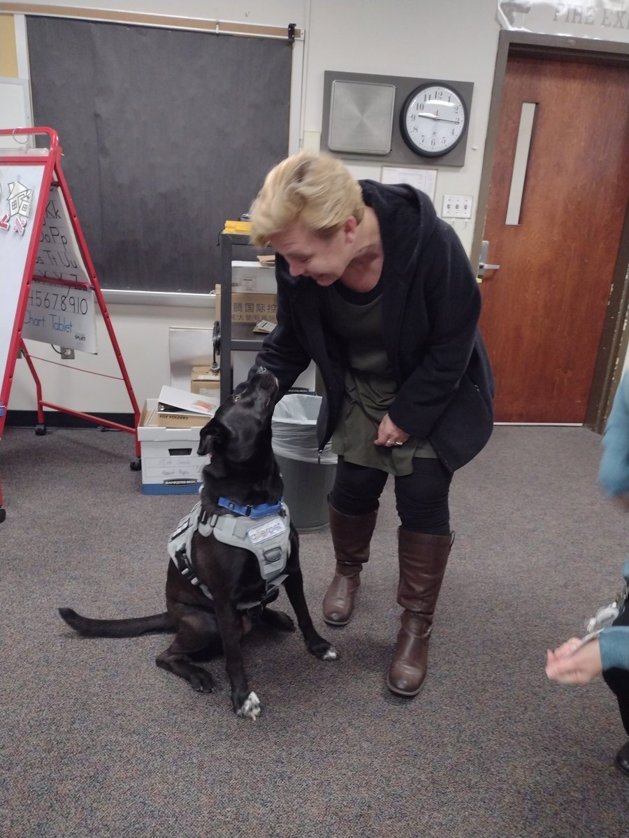 Lauraewmorris's tweet photo. @GCCSchools Visiting New Washington Elementary!  Their student ambassadors are doing great things. We met Penny the therapy dog. She chose her favorite principal. https://t.co/5Wy0wZKmXO