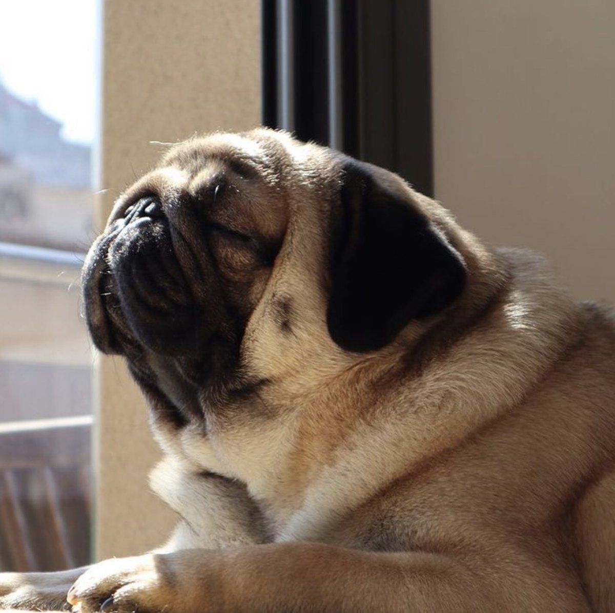 GratitudeSoup's tweet image. C’mon Inner Peace…I don’t have all day.