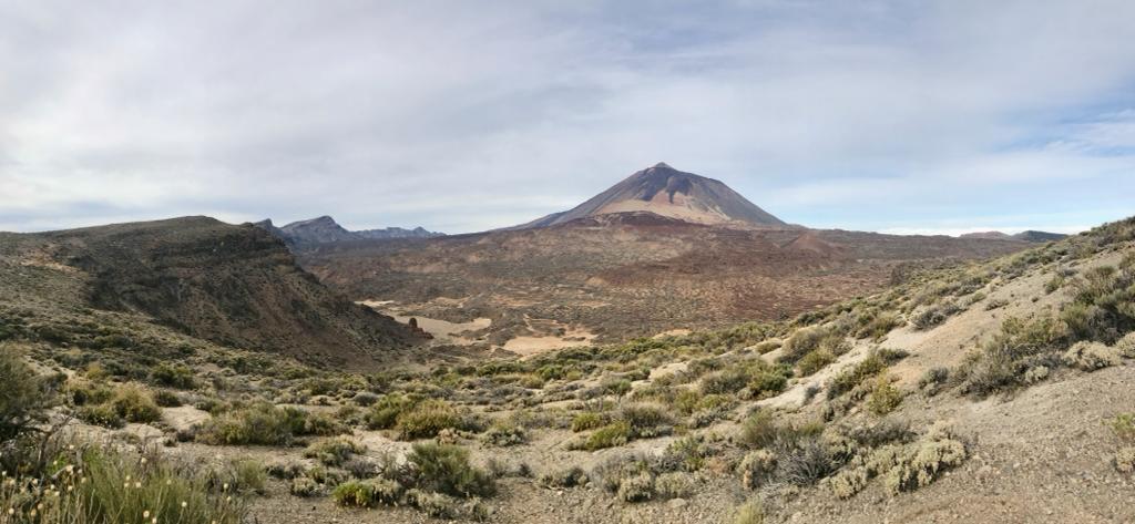 Volcano Watch tweet media