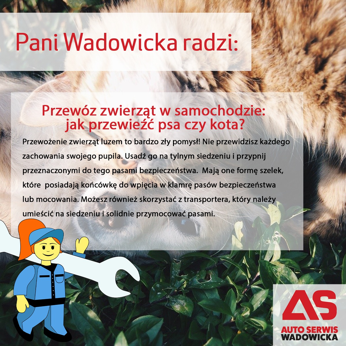 AutoWad tweet picture