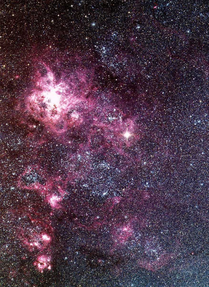ElberethConf's tweet photo. Exactly 35 years ago, in the night of February 23-24, 1987, a bright new star located in the Large Magellanic Could appears in the night sky. https://t.co/ol0lw49Z11
