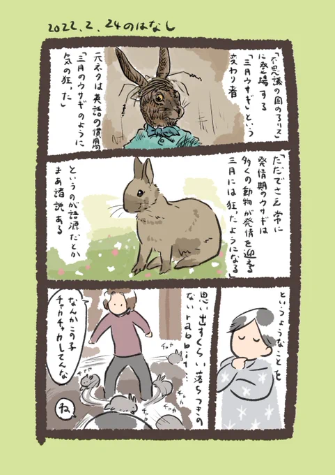 今日のrabbit…
#うさぎのいる生活 