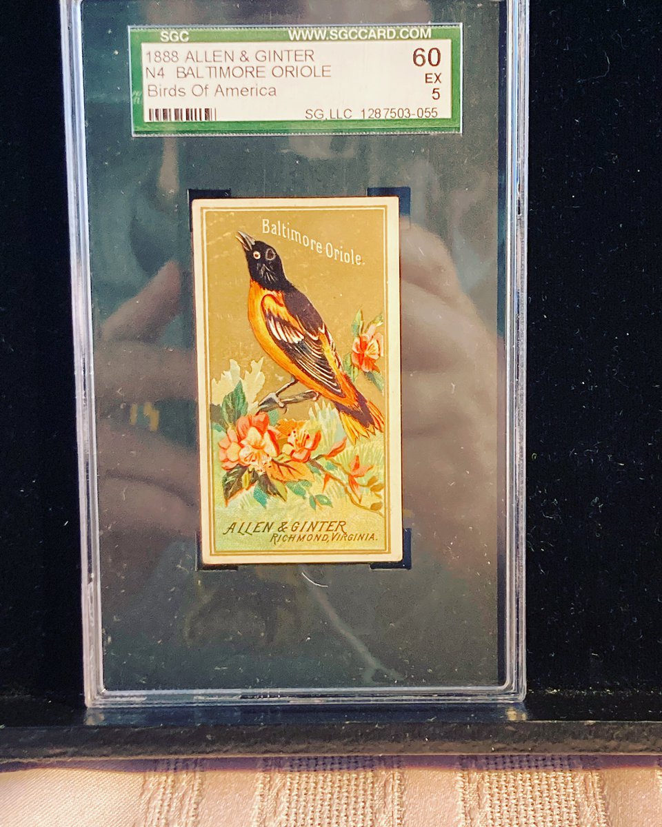 ESTATE48SALES's tweet photo. 3 Big Online Auctions. 1300+ Lots! https://t.co/mPZ53oYgqH We Ship Anywhere! 1888-Modern Baseball Cards &amp; More. #onlineauction #onlineauctions #auctionhouse #auction #auctions #auctionfinds #cintagebaseball #vintagebaseballcards #psagraded #bgsgraded #bvggraded #baseballcards https://t.co/Nunqd039cN