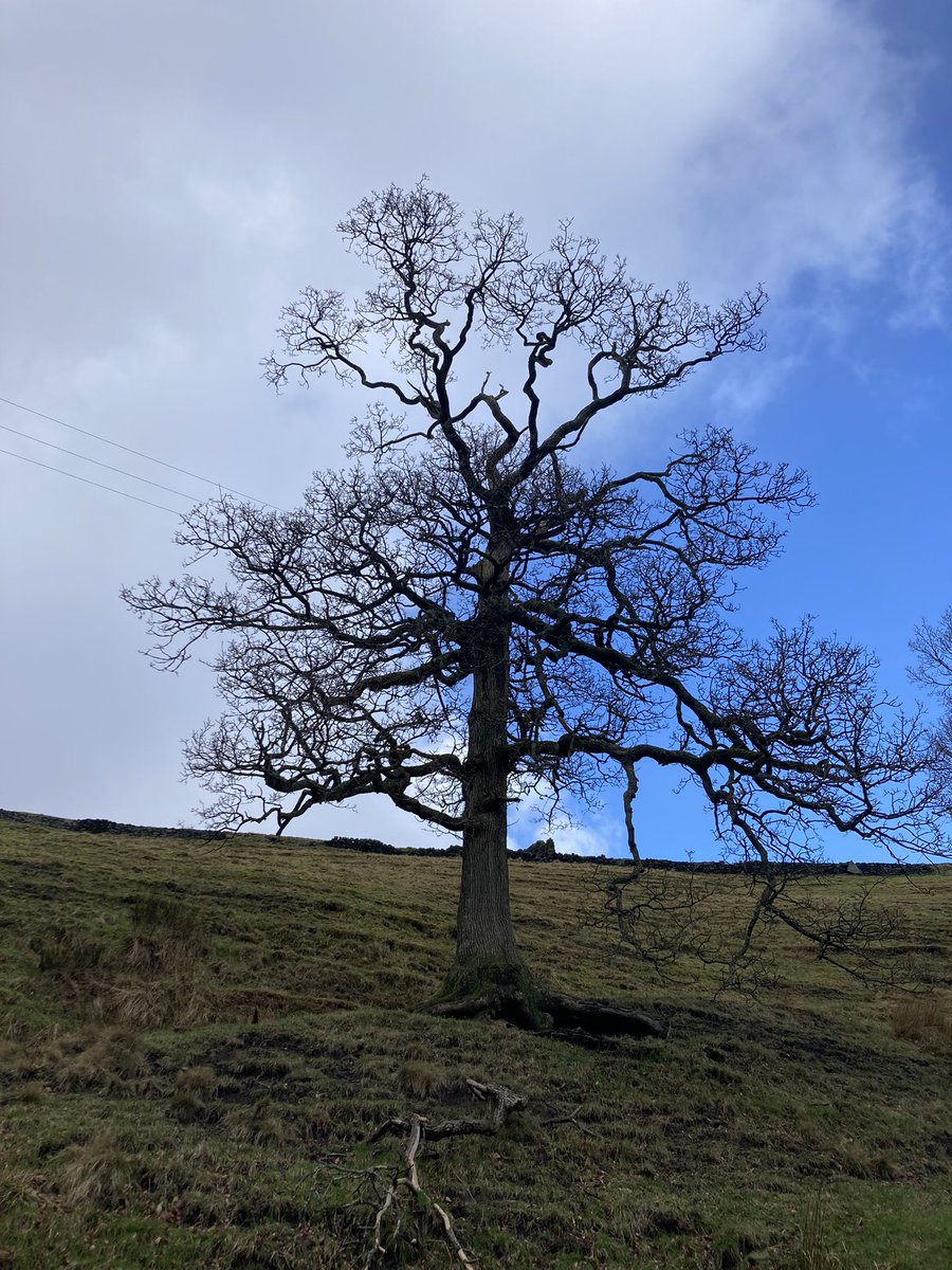 CSW Bev 332 (@332bev) on Twitter photo Team 5
Working with forestry and enforcement today…Looking at dangerous trees near to roads and residents homes..
<a href="/CMBC_CPT/">Calderdale Community Protection Team</a>
<a href="/332Bev/">CSW Bev 332</a>
<a href="/WardenClaire1/">CSW Claire 320</a>
<a href="/Calderdale/">Calderdale Council</a>
#StormFranklin
#safer Calderdale Team 5
Working with forestry and enforcement today…Looking at dangerous trees near to roads and residents homes..
<a href="/CMBC_CPT/">Calderdale Community Protection Team</a>
<a href="/332Bev/">CSW Bev 332</a>
<a href="/WardenClaire1/">CSW Claire 320</a>
<a href="/Calderdale/">Calderdale Council</a>
#StormFranklin
#safer Calderdale