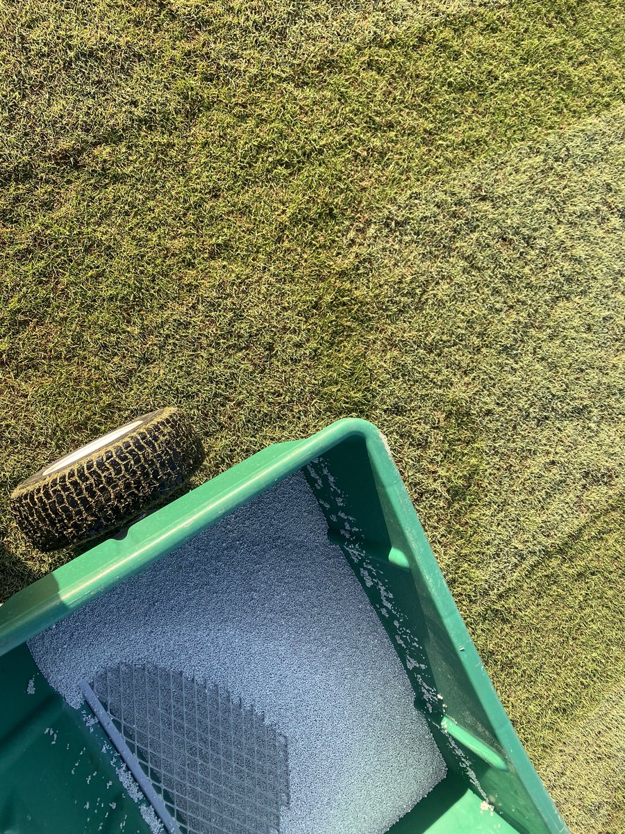 ShaneRice33's tweet photo. Greens received .3lbs/N and watered in heavy this am before the full 120 person shotgun. Fairways and approaches are getting ttthhhhiiiccc! I think we go mow a few https://t.co/amQGYYO7dl