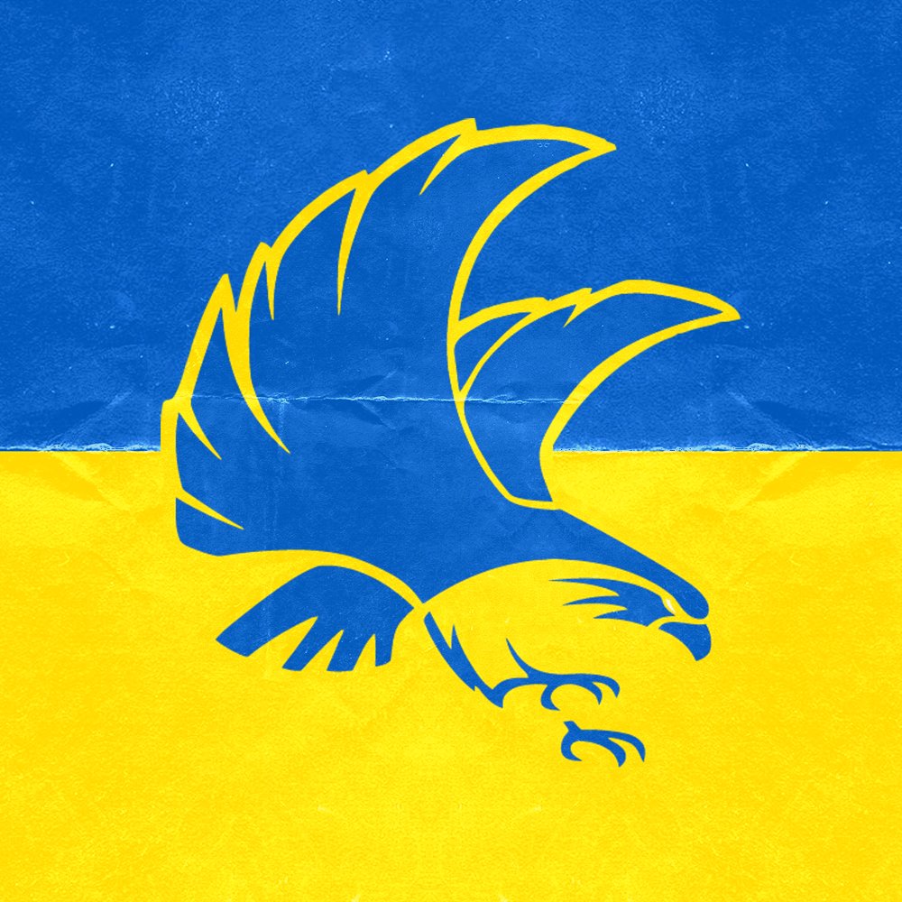 Arctic Falcons tweet media