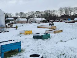 EglintonGardens's tweet image. Beautiful morning in the gardens today.  And they look spectacular with the snow covering the weeds lol!
#gardenlife #workingwithnature #prettyinwhite
@NA_LDTeam @nhsaaa_NA_CLDT @NAyrshireCPP @NorthAADP @turningpointsco @North_Ayrshire @TAyrshireCT @NAGreenHealth