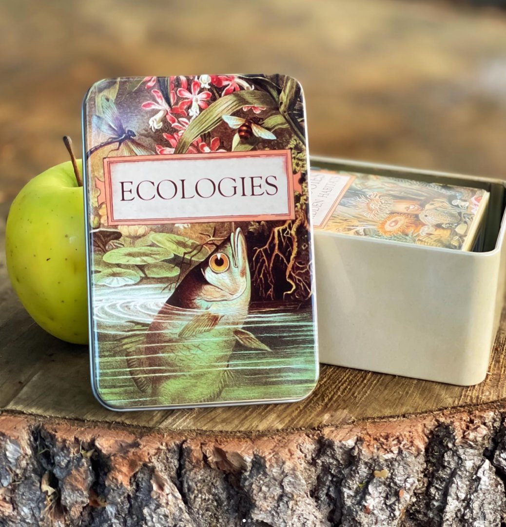 DeliciouslySavv's tweet photo. 🦎Head Over To @deliciouslysavv To Check Out My Savvy Review Of The #Ecologies Card Game ~ Game Play Inspired By Nature From @montrosebiology!🌿🦜🪰 #SpringGiftGuide2022 #Sponsored
See Why My Family & I Are Loving This Fun & Educational Card Game
👉https://t.co/1kp4VDSneb https://t.co/oCwm80SYDa