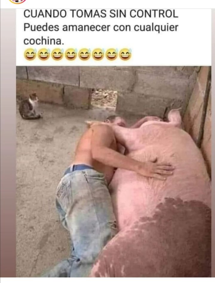 MinaCastillo17's tweet photo. Jajaja hay les hablan🤭🤭 https://t.co/liOaHspOno