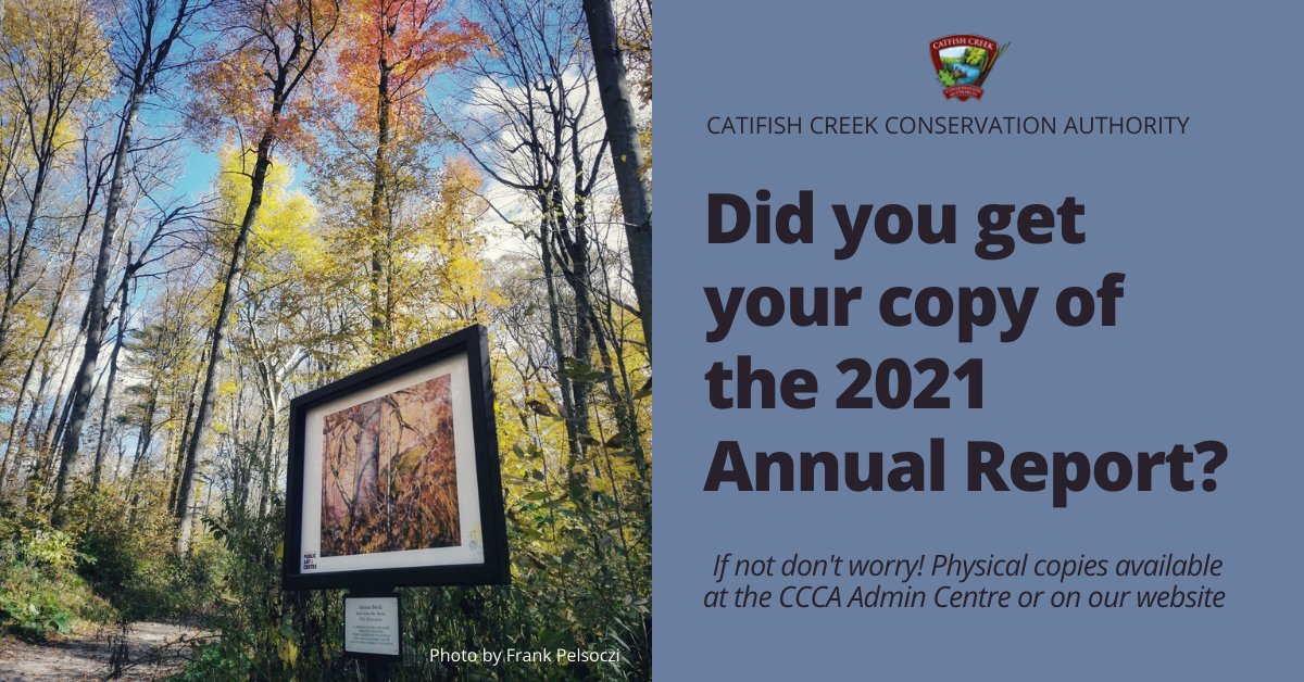 Did you receive your copy of the CCCA's 2021 Annual Report in yesterday's Aylmer Express ? If not don't worry there are extra copies available for pickup at the CCCA Admin Centre or available on our website: bit.ly/3HYPUcF