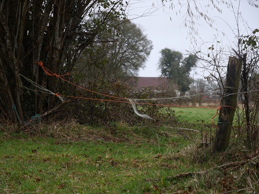 groundways's tweet image. Trois petits bouts