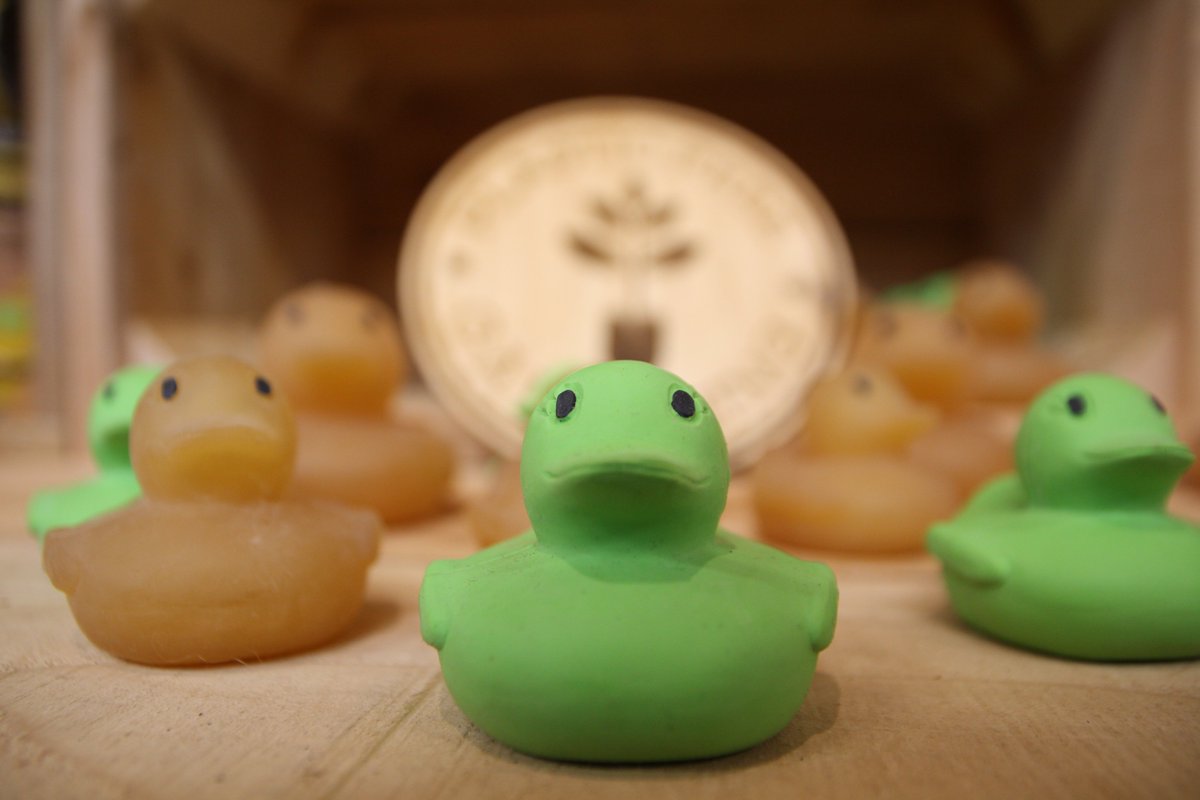 wildlifeworlduk's tweet photo. This is a real rubber duck, it’s #plasticfree, made from #ethicallyproduced, #sustainable and fairly traded natural rubber. Why is it here? Want one? You’ll have to visit us at the @GIMA_UK @Greenfingerscha @gardenpresevent on Wednesday 9th March to find out #gardenpressevent https://t.co/azFZSl7PVf