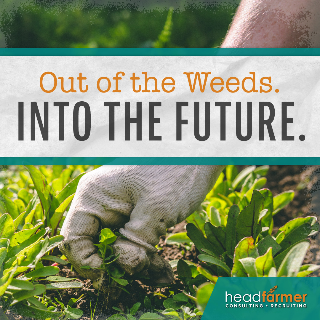 Headfarmer's tweet photo. Headfarmer takes a people-first approach to connecting organizations and talent, driving everyone toward a brighter future. Learn more at https://t.co/4JPXLQ90xx

#Headfarmer #Recruiters #Networking #Finance #Accounting #HumanResources #InformationTechnology #Phoenix #Recruitment https://t.co/sGBEAheJPx