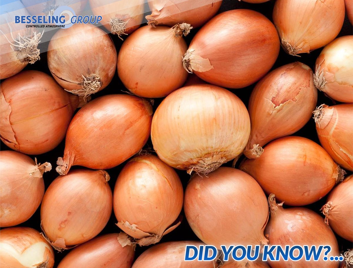 BesselingGroup's tweet photo. ❔ Did you know that Besseling has more than 20 years of experience in storing onions 🧅 under Controlled Atmosphere conditions? Especially now that the application of chemical agents against sprouting is under pressure, CA-storage is a good alternative. https://t.co/UXoKN41smL