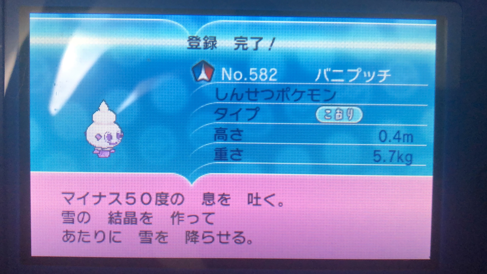リゾートビューはやて Resort View Hayate ポケモンxのフロストケイブでまさかの色違いバニプッチが出現 ポケモン ポケモンxy 色違いポケモン T Co X0espxqyyv Twitter