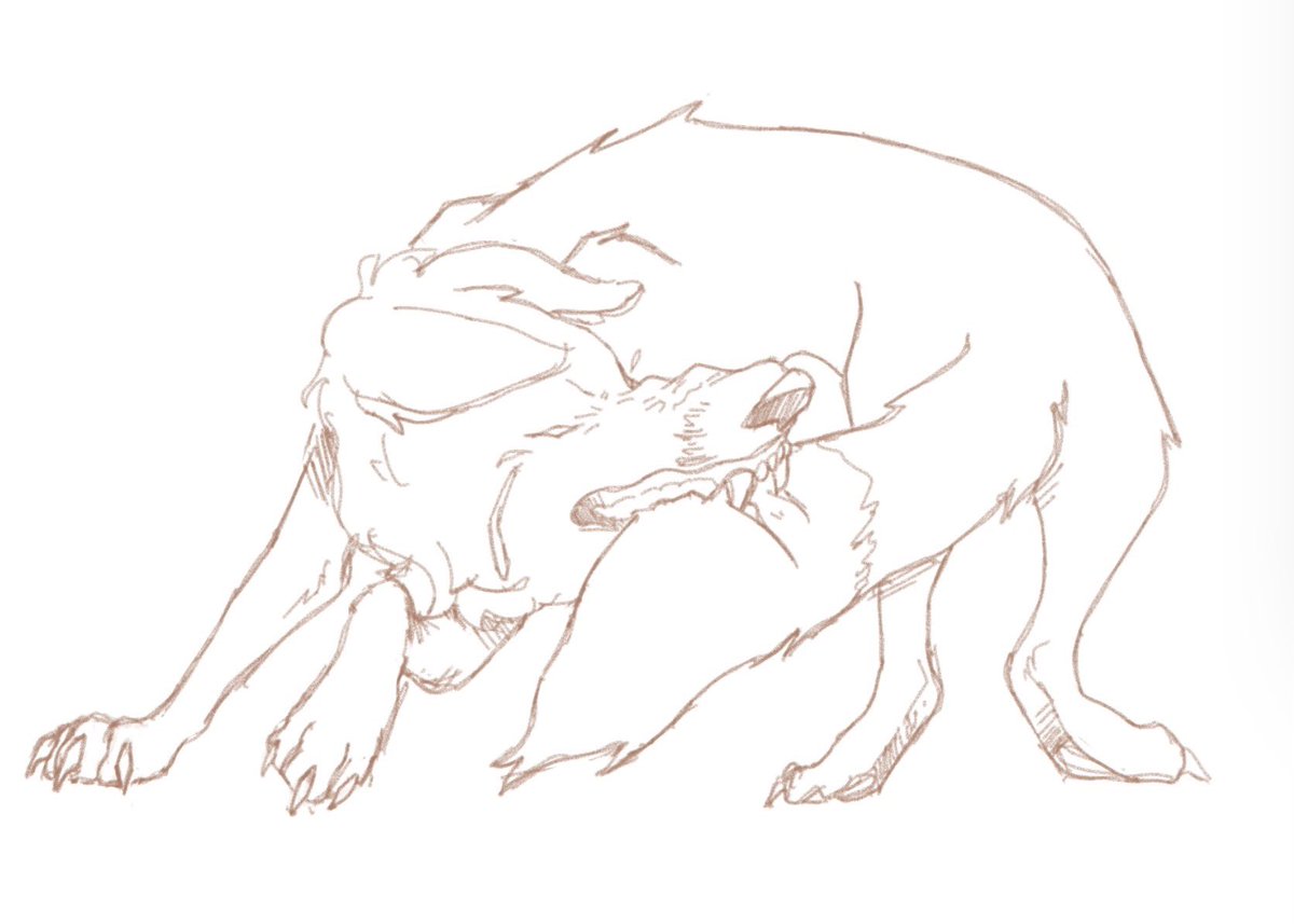 ehvris's tweet photo. enjoy this self harming fox https://t.co/MU0jPcMA8V