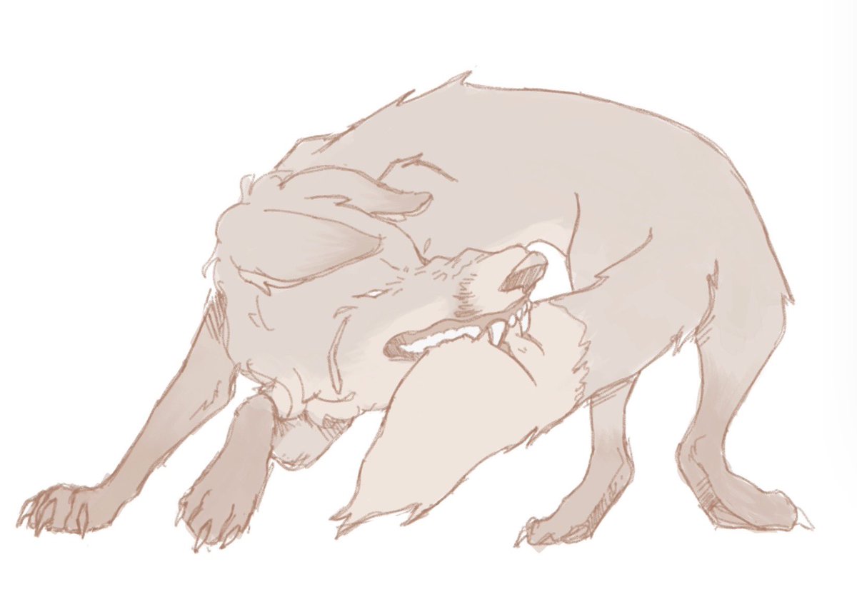 ehvris's tweet photo. enjoy this self harming fox https://t.co/MU0jPcMA8V