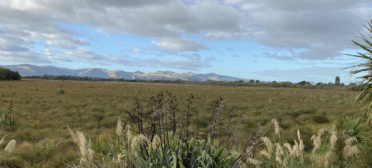 SandalsNZ's tweet photo. Love the early morning light on the Port Hills of Ōtautahi with Ōruapaeroa Travis Wetland in the foreground. #onmywalk #wetlands https://t.co/Epfxf2UtJt