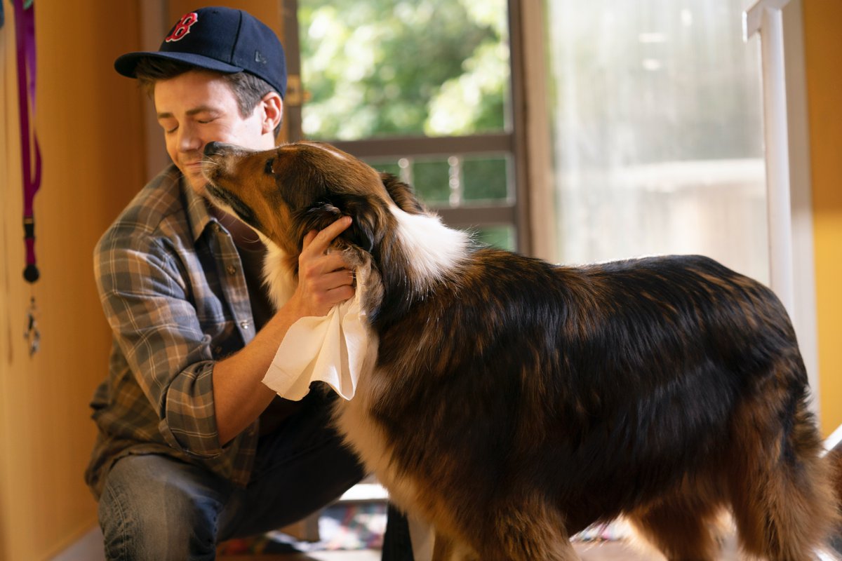 alexisjoyvipacc's tweet image. Article: Anything Is Paw-sible In @Netflix’s New Film, #RescuedByRuby Starring #GrantGustin And @ScottWolf – Watch The Official Trailer &amp;amp; Check Out First Look Photos Here! alexisjoyvipaccess.com/2022/02/24/net… #RescuedByRubyNetflix

📸: Ricardo Hubbs / @NetflixFilm