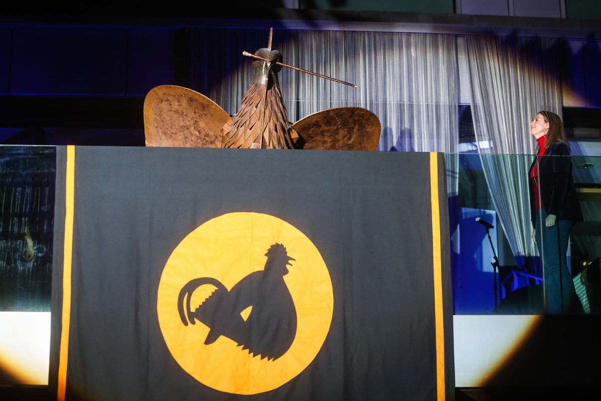 Mireia Ingla Mas tweet media