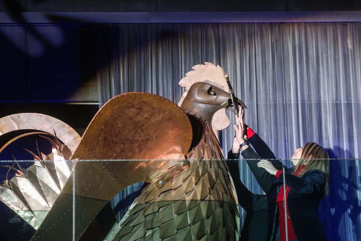 Mireia Ingla Mas tweet media