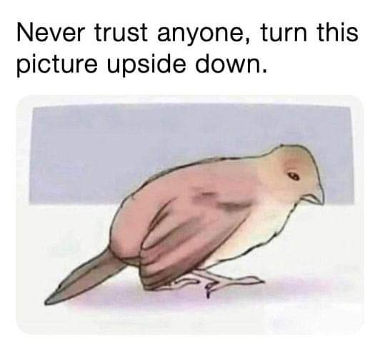 😏