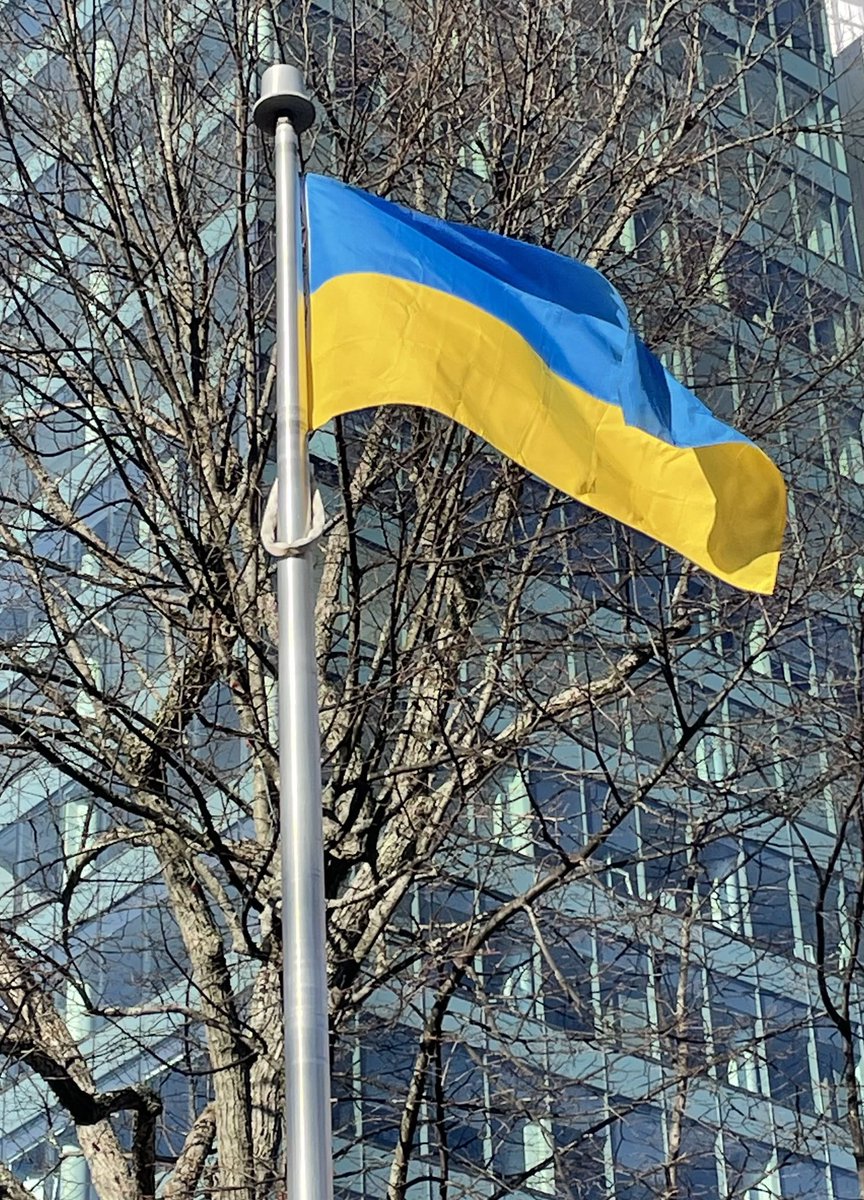 This afternoon we raised the #Ukrainian flag at Halifax City Hall. We stand with #Ukraine and all Ukrainian 🇺🇦 Canadians 🇨🇦 including those who live in HRM.