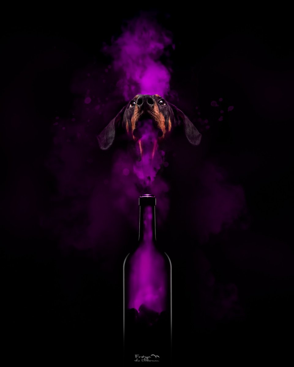 Oh noes! The Genie has been let out of the bottle and and I’m not sure we can put her back inside 😱
#twitterdogcommunity #dogsoftwitter  #photography #dog #quality