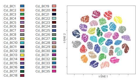 Standard_BioT's tweet photo. If your data needs cleaning, generating valid insights can be a challenge. Cleaner data is inherent when using #cellbarcoding with #masscytometry, which can filter intersample cell doublets and multiplets by detecting more than one barcode per cell: https://t.co/Xk2nqFqVIf https://t.co/VZV6iLxg3a