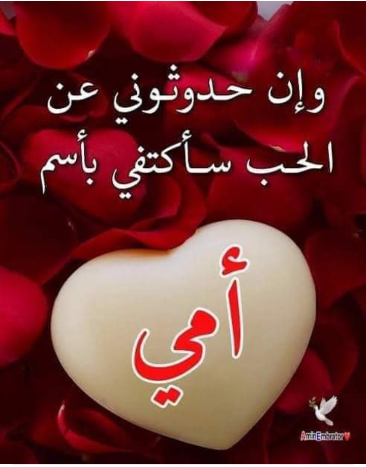 امي هي العمر كله