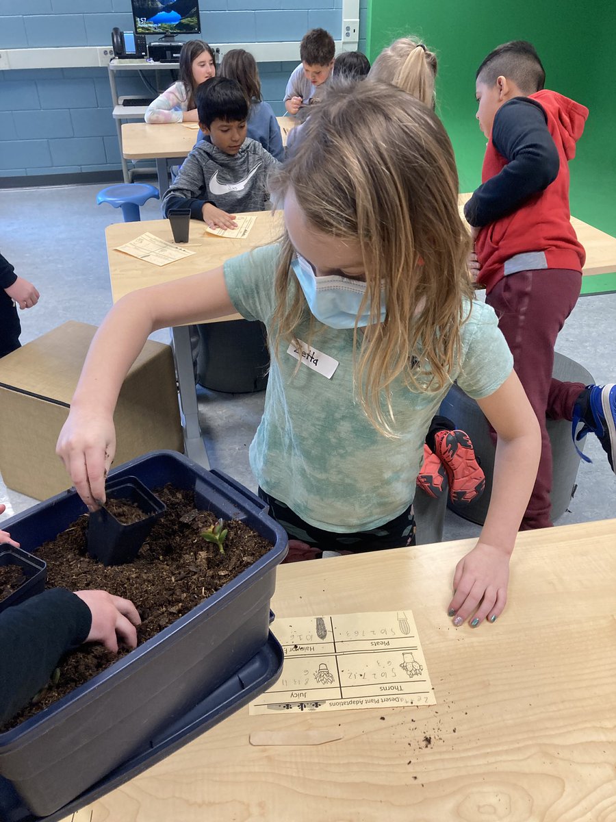 Dr. Steven Geis (@drsgeis) on Twitter photo Second graders explored the desert with the help of the <a href="/mnarboretum/">Minnesota Landscape Arboretum</a> Plant adaptations were figured out using hands carefully. Second graders explored the desert with the help of the <a href="/mnarboretum/">Minnesota Landscape Arboretum</a> Plant adaptations were figured out using hands carefully.
