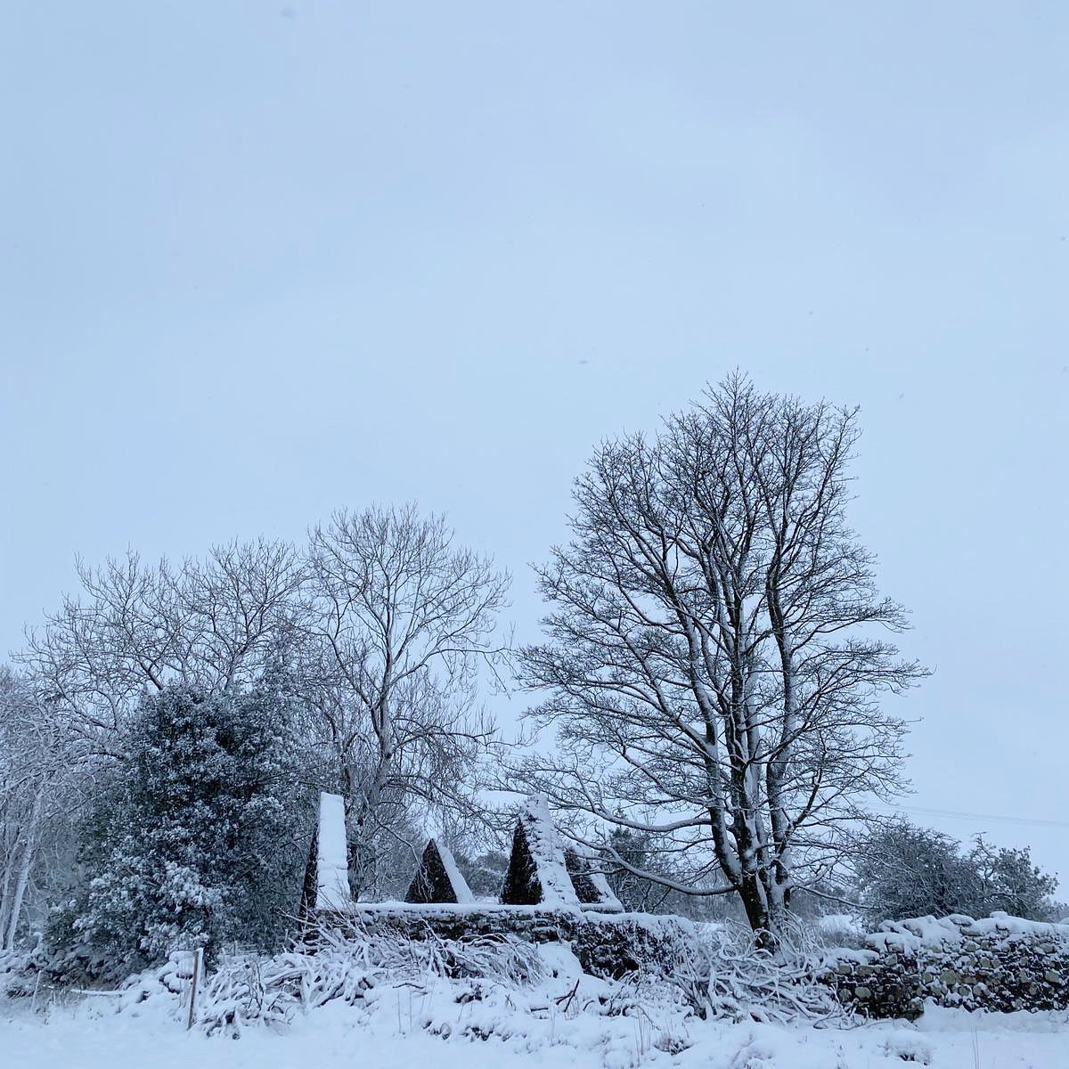 barneysruins tweet media