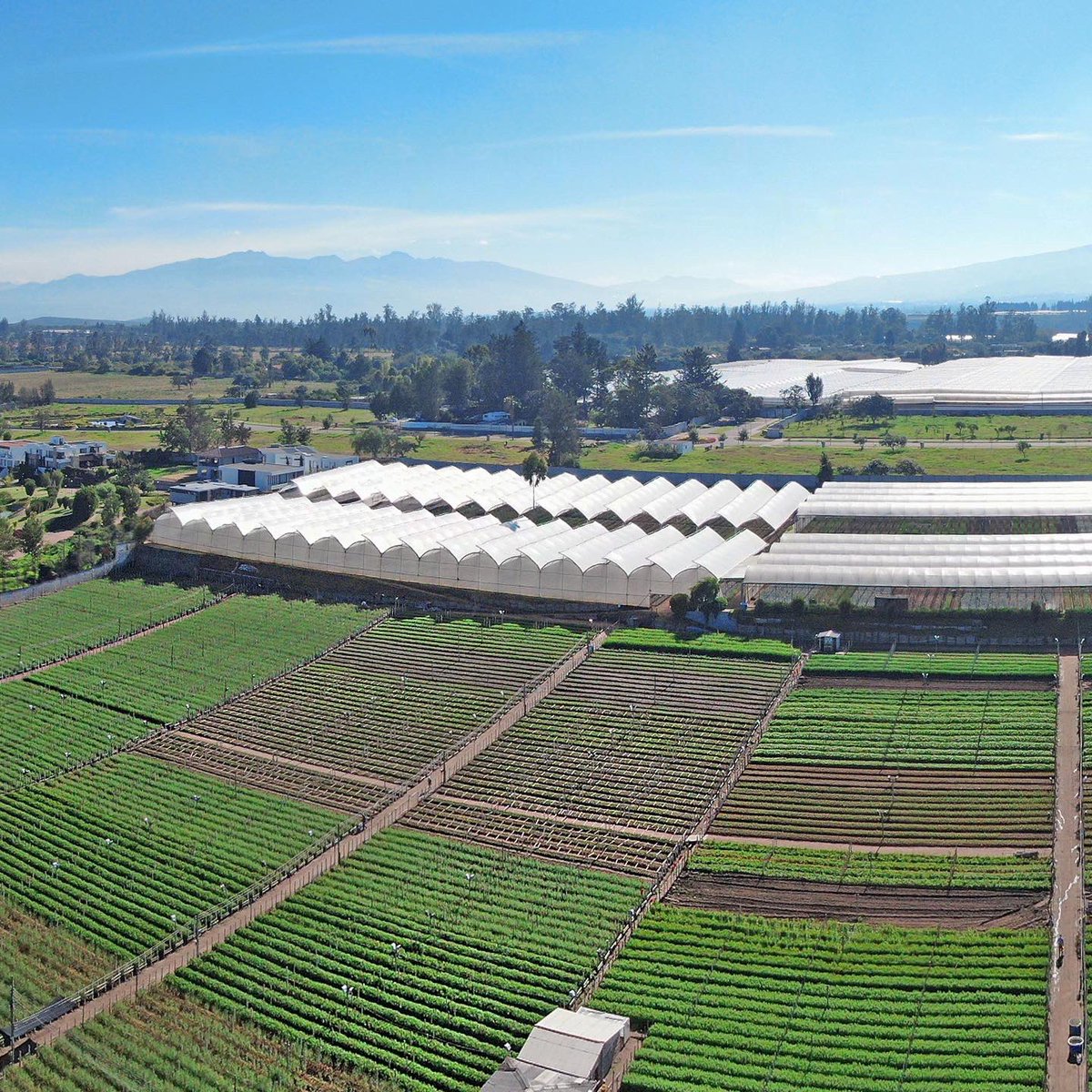 LHFlowers's tweet photo. A spectacular panoramic view of our farm..

#farm #view #amazing #ecuador #usa #landscape #allyouneedisecuador #americanfarm #lhf #lahaciendaflowers https://t.co/iVF9X92vwX