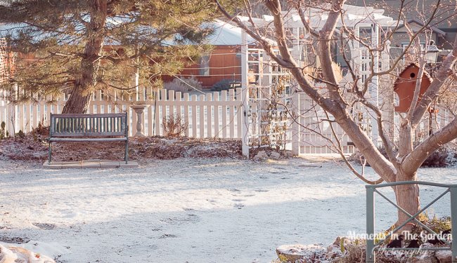 MomentsintheG's tweet photo. ...and just when I thought Spring was on its way a light snowfall during the night. #lightsnowfall #snowcovered #mygarden #mygardentoday #momentsinthegardenphotography https://t.co/wyiOliq4i9