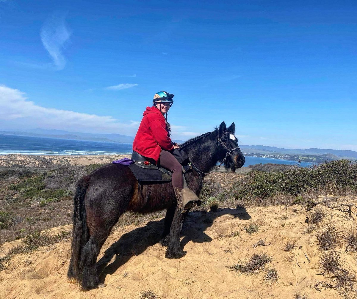 LosOsosBaywood's tweet photo. It's a beautiful day to ride in MDO!
.
.
.
📷 by @amandapalease
#VisitLosOsosBaywood #WildlyExciting #MontanadeOro #MDO #CCSPA #SLOCAL #Highway1Dreaming #CaliforniaStateParks https://t.co/U4VGgysgY8