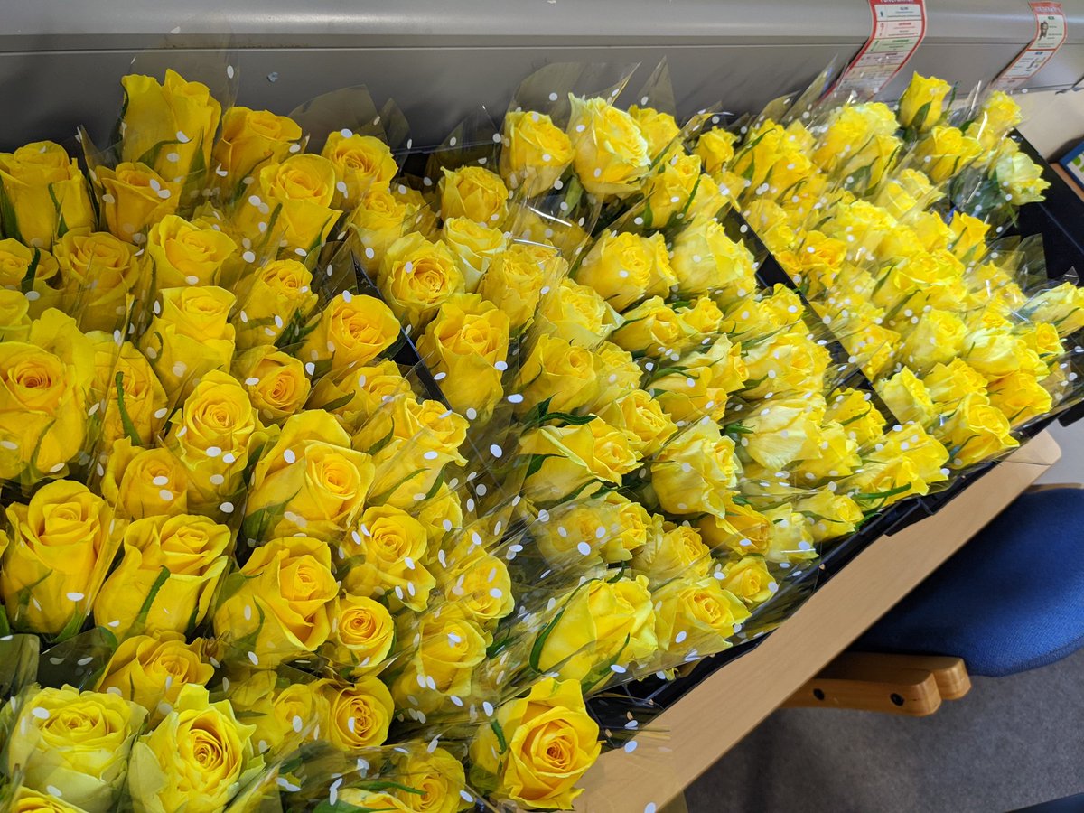 Numeracy_BASFC tweet media